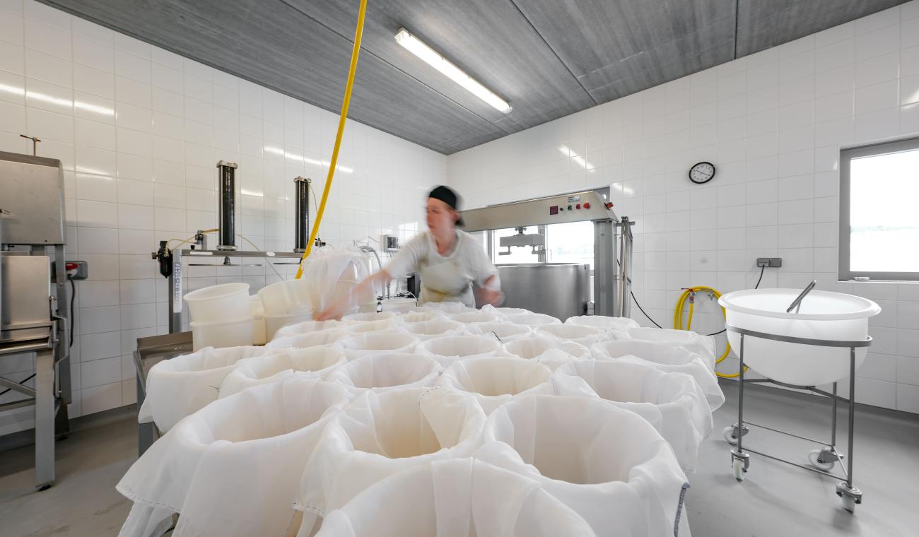 Fromagerie du Samson à Marche-en-fammenne