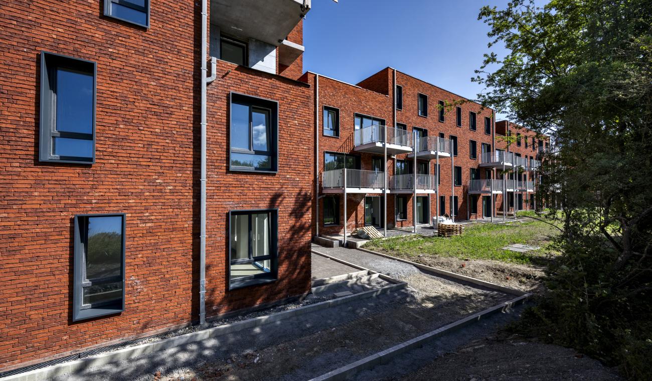 Nouveau projet Picard Construct - La famennoise